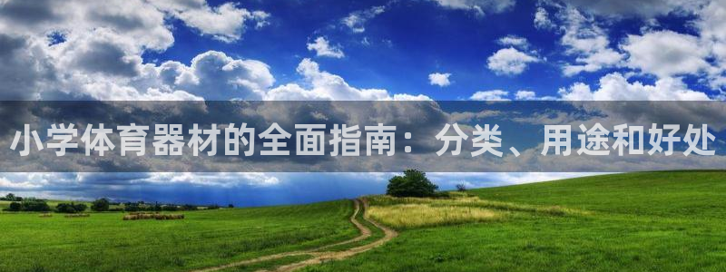 星娱乐online创作的原声：小学体育器材的全面指南