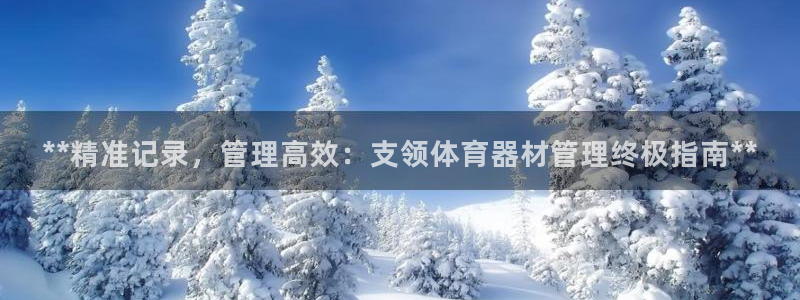 星奥娱乐集团是国企吗：**精准记录，管理高效：支领体