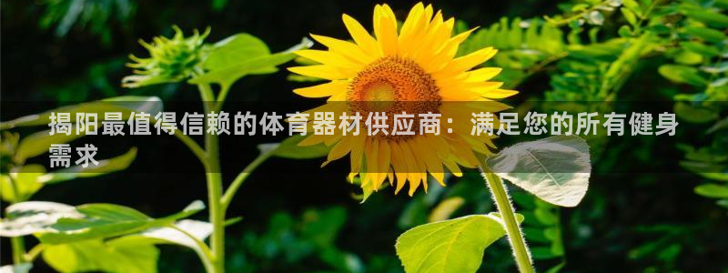 星游娱乐下载地址：揭阳最值得信赖的体育器材供应商：满