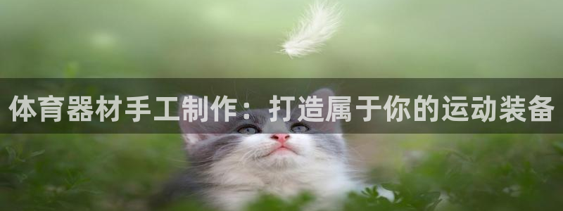 星奥娱乐招聘：体育器材手工制作：打造属于你的运动装备