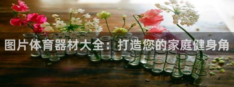 星欧娱乐官网首页下载：图片体育器材大全：打造您的家庭