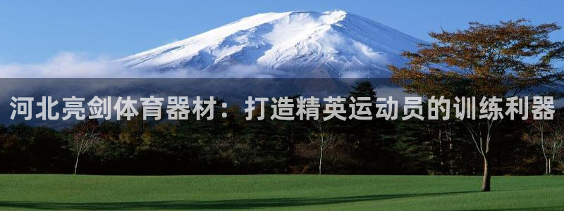 星奥娱乐集团股份有限公司招聘：河北亮剑体育器材：打造