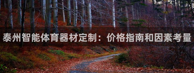 星欧娱乐联4.8.5.6.2.4.3下载：泰州智能体