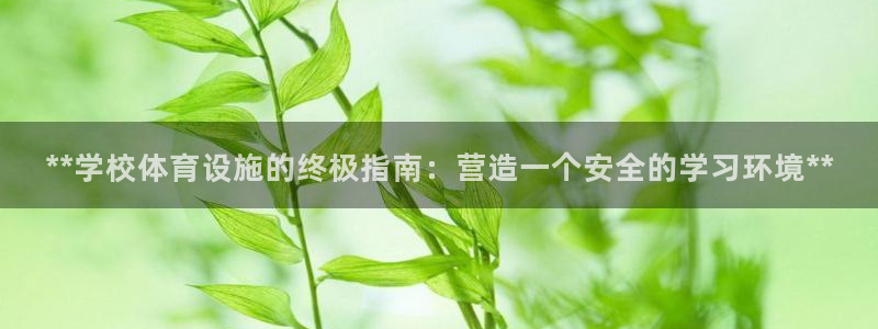 星奥娱乐集团股份有限公司：**学校体育设施的终极指南