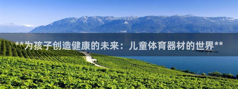 星奥娱乐微博：**为孩子创造健康的未来：儿童体育器材