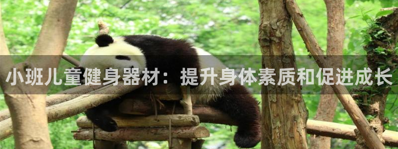 星欧娱乐官网下载安装：小班儿童健身器材：提升身体素质