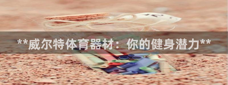 星欧娱乐属于什么档次的软件公司