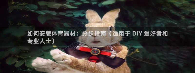 江苏星奥娱乐有限公司报名：如何安装体育器材：分步指南