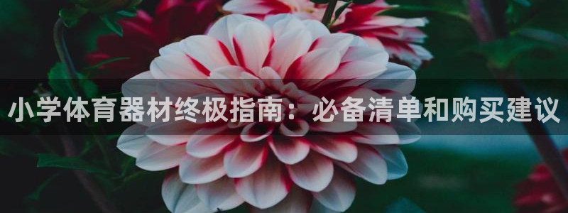 星欧娱乐挂机教程下载：小学体育器材终极指南：必备清单