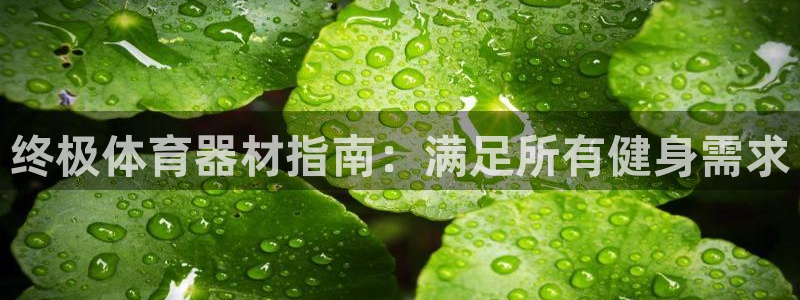 星欧娱乐彩票软件下载安卓：终极体育器材指南：满足所有