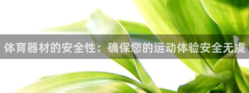 星欧娱乐最建议买的三个产品是什么意思：体育器材的安全