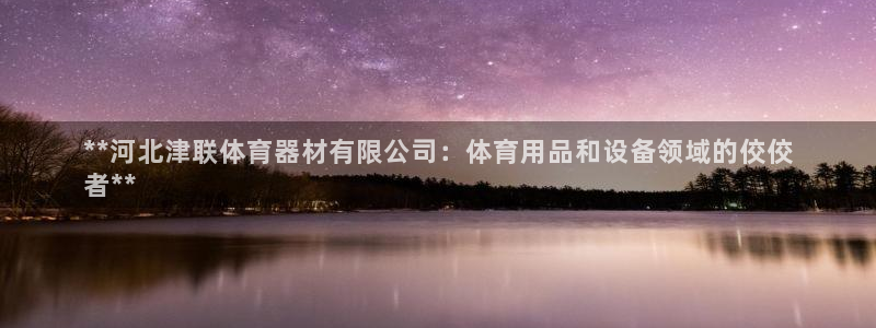星欧娱乐还能玩吗：**河北津联体育器材有限公司：体育