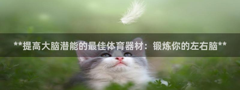 星欧娱乐扣款流程详解视频播放：**提高大脑潜能的最佳