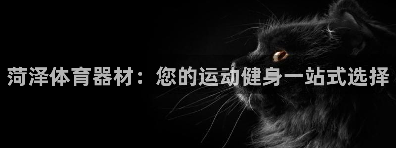 星欧娱乐属于什么档次的网站啊：菏泽体育器材：您的运动