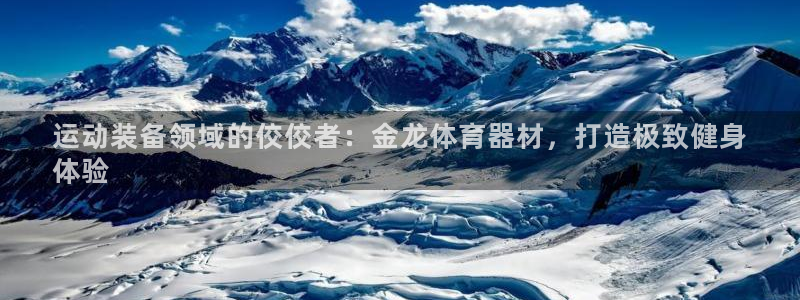 星欧娱乐平台测速线路设置：运动装备领域的佼佼者：金龙