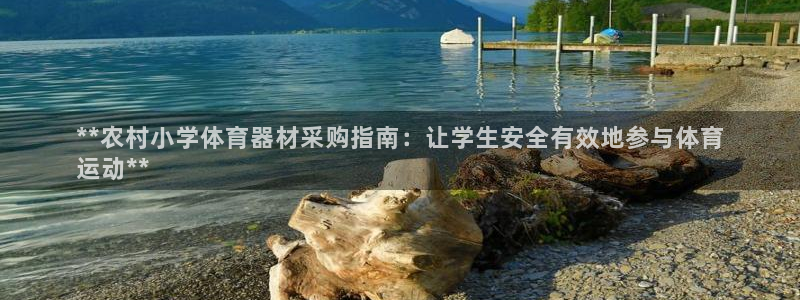 星欧娱乐热最建议去的三个地方：**农村小学体育器材采