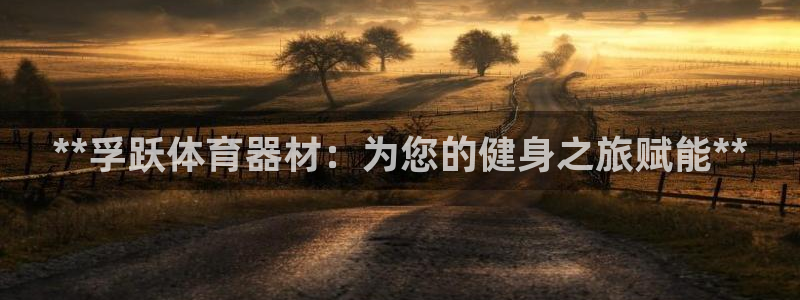 星欧娱乐平台测速线路怎么设置：**孚跃体育器材：为您