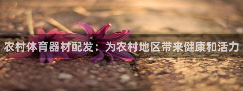 星欧娱乐平台怎么样：农村体育器材配发：为农村地区带来