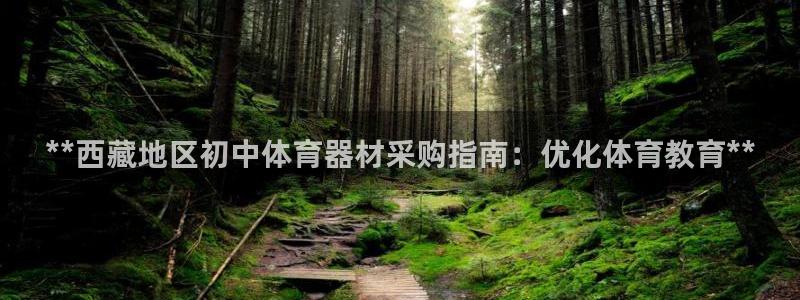 星欧娱乐信存手机版下载：**西藏地区初中体育器材采购