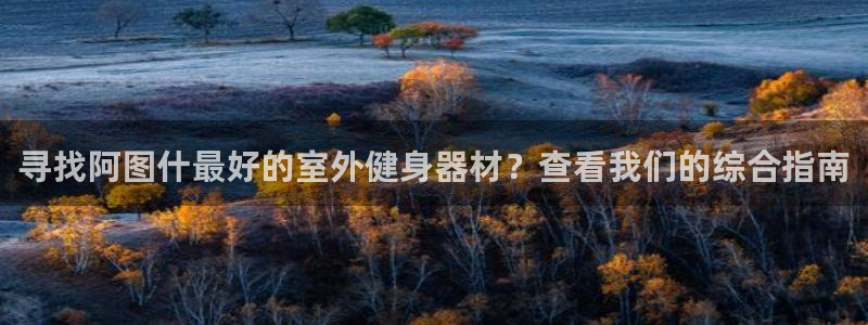 星娱乐文化传媒有限公司：寻找阿图什最好的室外健身器材