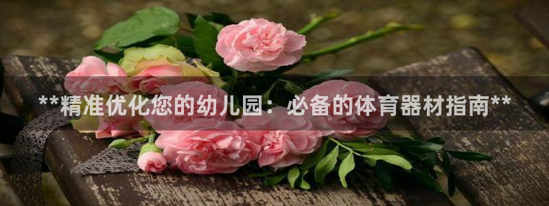 星澳娱乐公司简介：**精准优化您的幼儿园：必备的体育