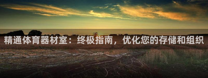 江苏星奥娱乐招艺人：精通体育器材室：终极指南，优化您