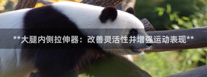星欧娱乐最建议买的三个产品是：**大腿内侧拉伸器：改