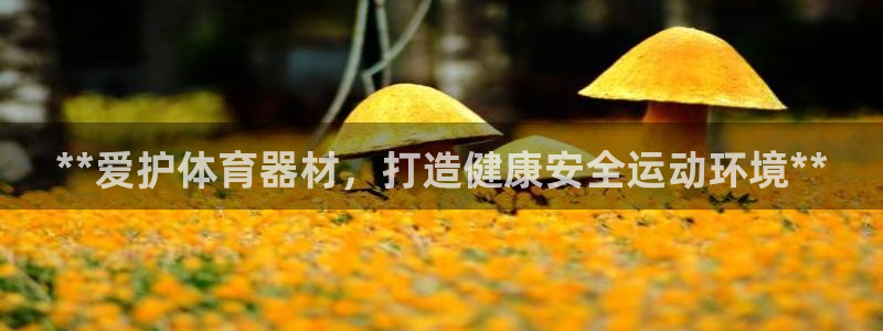 星奥娱乐集团股份有限公司怎么样：**爱护体育器材，打