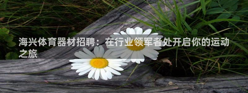 星娱乐包月业务是什么：海兴体育器材招聘：在行业领军者