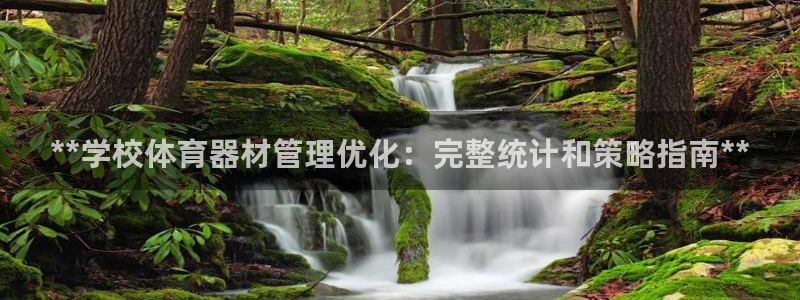 星奥娱乐招聘：**学校体育器材管理优化：完整统计和策