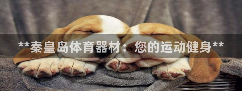 星欧娱乐扣款流程详解视频教程：**秦皇岛体育器材：您