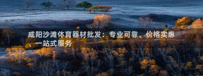 星欧娱乐最建议买的三个产品是什么呢：咸阳沙滩体育器材