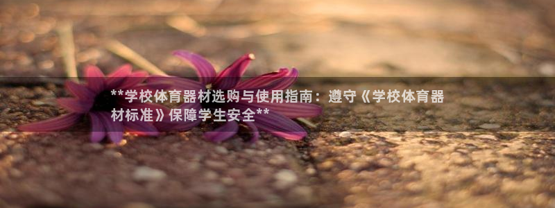 星欧娱乐联最新新闻：**学校体育器材选购与使用指南：
