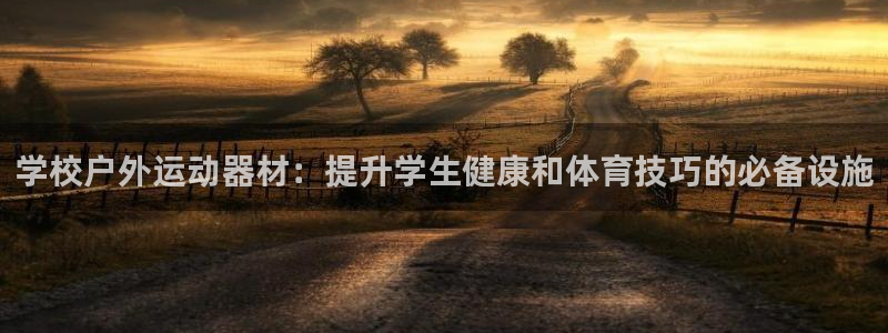星欧娱乐是正规平台吗安全吗是真的吗：学校户外运动器材
