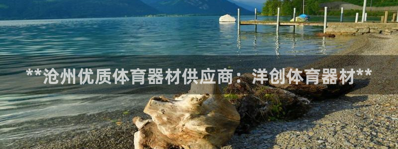 星欧娱乐是正规平台吗安全吗可靠吗：**沧州优质体育器
