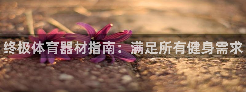 星欧娱乐属于什么档次的公司名称：终极体育器材指南：满