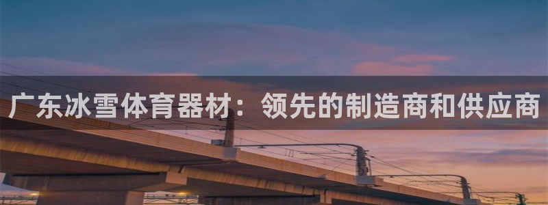 星欧娱乐联游戏评测：广东冰雪体育器材：领先的制造商和