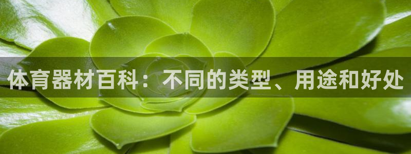 星欧娱乐平台怎么样啊安全吗：体育器材百科：不同的类型