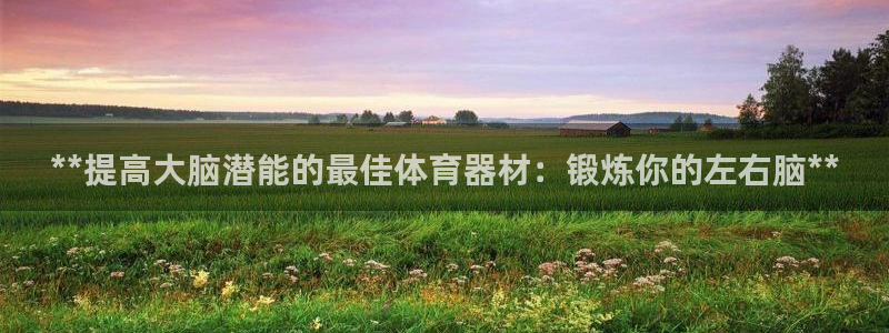 星欧娱乐app最新版本更新内容下载：**提高大脑潜能
