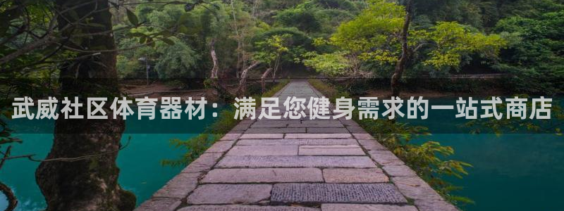 星娱乐online创作的原声这个歌曲叫什么名字：武威