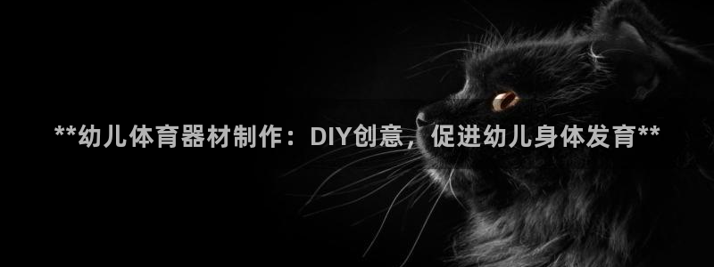 星欧娱乐彩票软件下载官网：**幼儿体育器材制作：DI