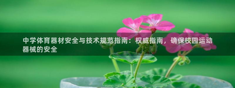 星欧娱乐平台怎么样啊可靠吗：中学体育器材安全与技术规