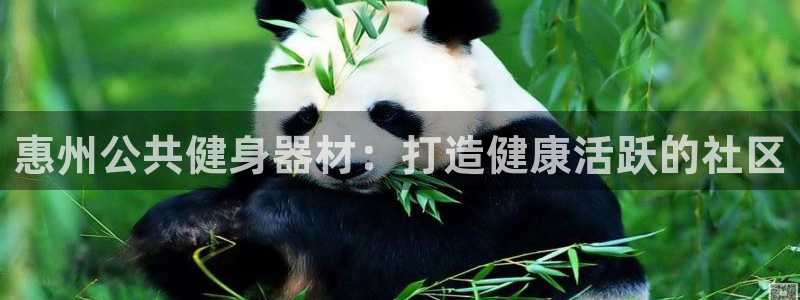 星欧娱乐扣款怎么回事：惠州公共健身器材：打造健康活跃