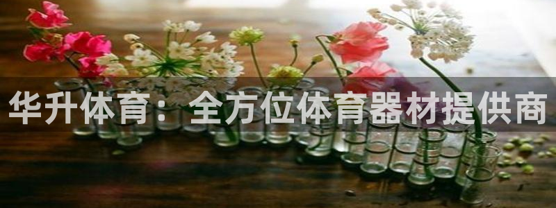 星欧娱乐的官方版本更新内容是什么：华升体育：全方位体