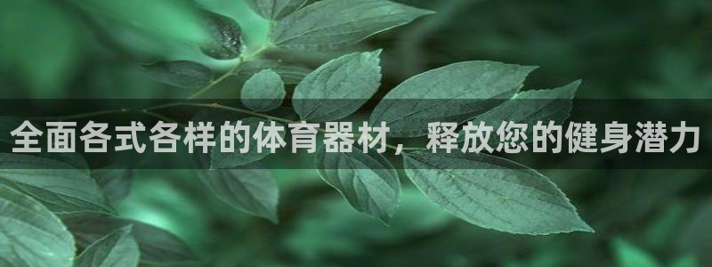 星欧娱乐的官方版本更新内容：全面各式各样的体育器材，