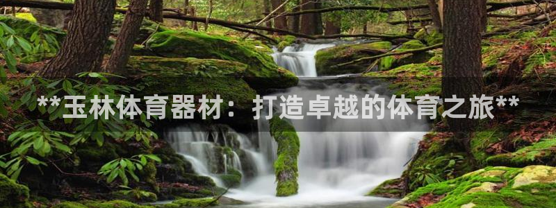 星欧娱乐法711.112扣费如何处理：**玉林体育器