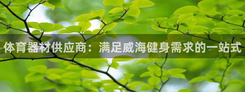 星欧娱乐雀V是什么平台：体育器材供应商：满足威海健身