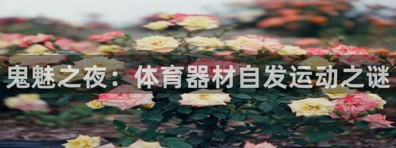 星奥娱乐招聘：鬼魅之夜：体育器材自发运动之谜