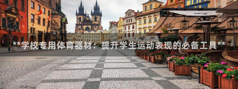 星欧娱乐平台怎么样啊可靠吗：**学校专用体育器材：提