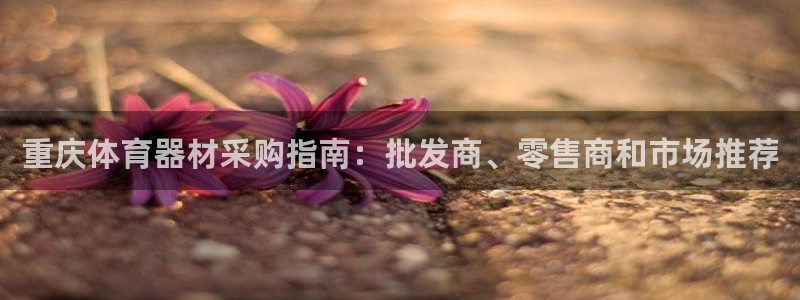 星欧娱乐属于什么档次的公司：重庆体育器材采购指南：批